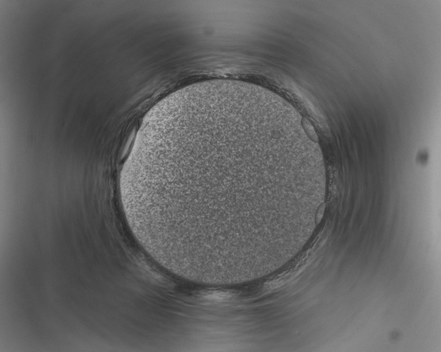 X0000116610313201001081216