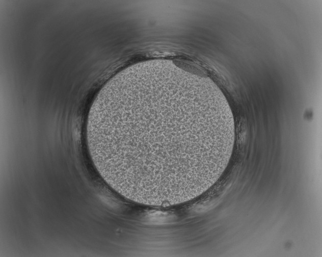 X0000116610315201001081216