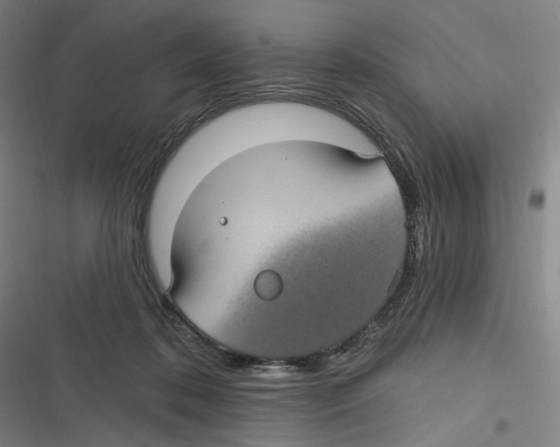 X0000116610316201001081216