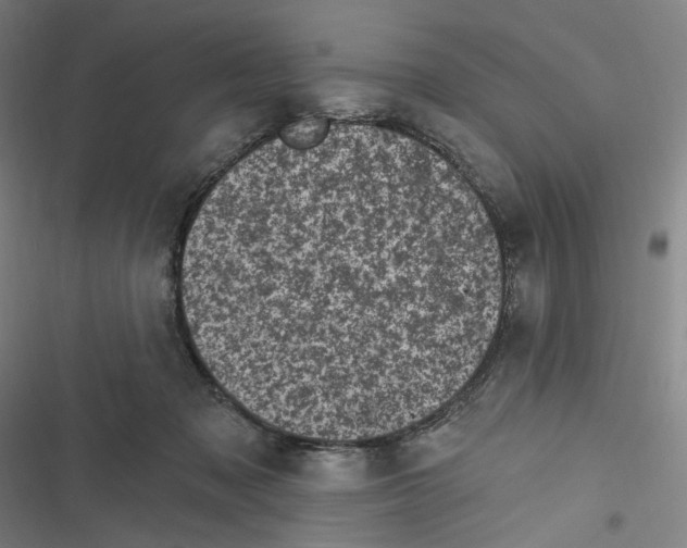 X0000116610317201001081216