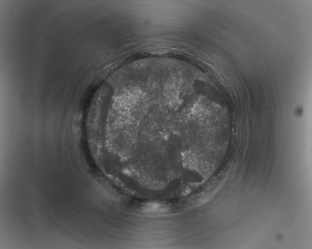 X0000116610319201001081216