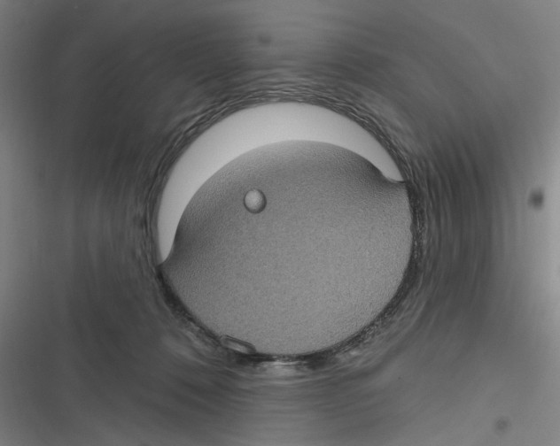 X0000116610320201001081216