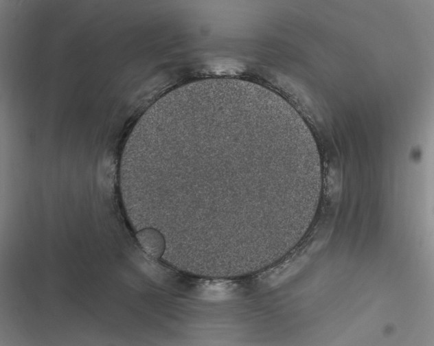 X0000116610321201001081216