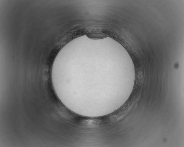 X0000116610323201001081216