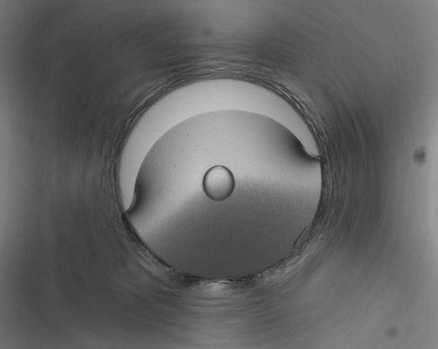 X0000116610325201001081216