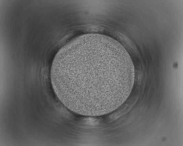 X0000116610326201001081216