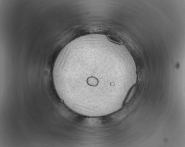 X0000116610327201001081216