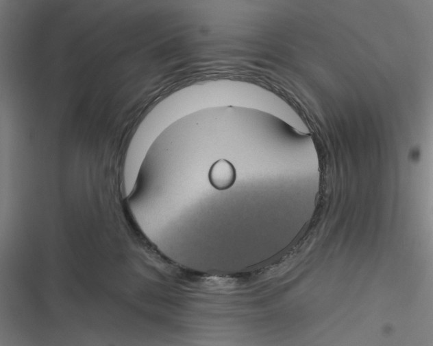 X0000116610328201001081216