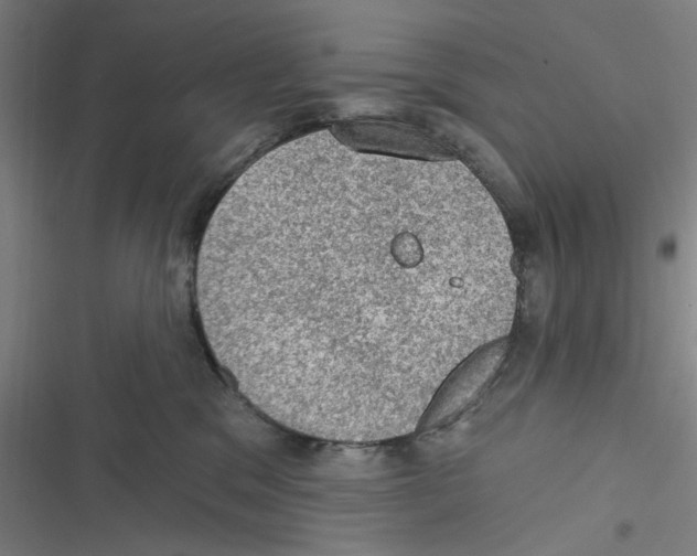 X0000116610329201001081216