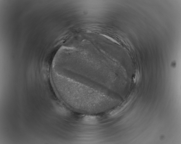 X0000116610332201001081216