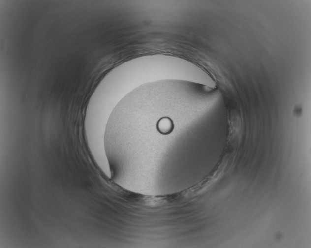 X0000116610333201001081216