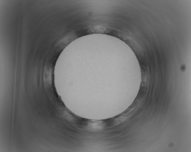 X0000116610334201001081216