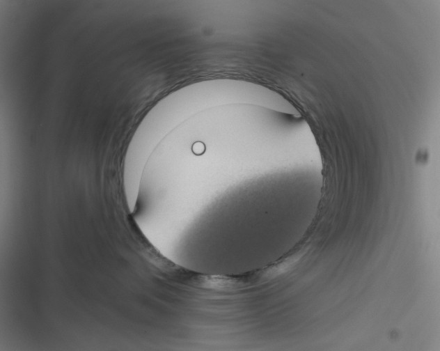 X0000116610336201001081216