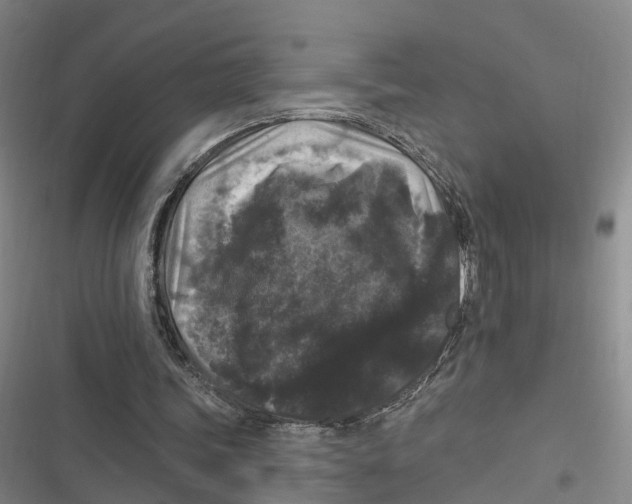 X0000116610339201001081215