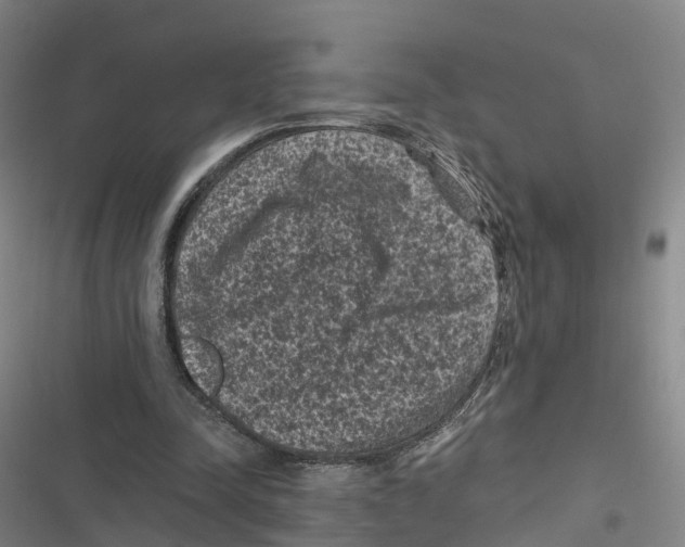 X0000116610342201001081215