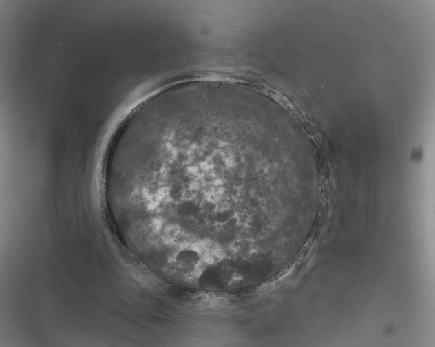 X0000116610343201001081215