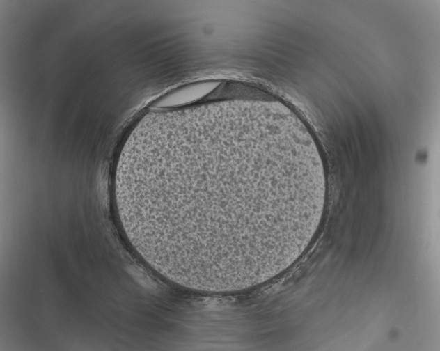 X0000116610345201001081215