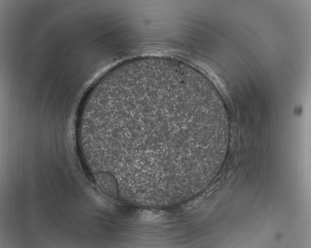 X0000116610346201001081215