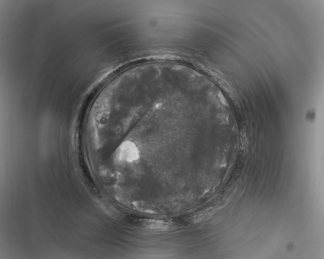 X0000116610347201001081215