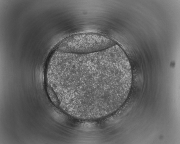 X0000116610350201001081215