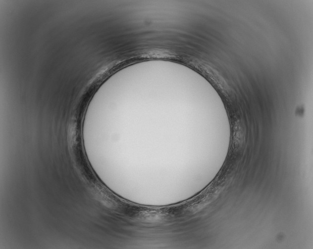 X0000116610351201001081215