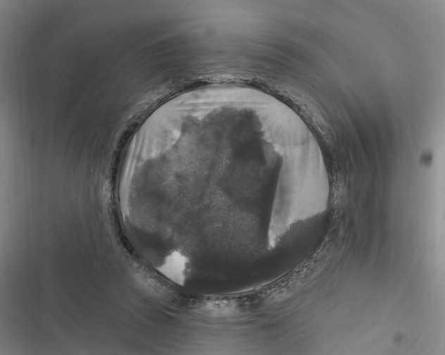 X0000116610353201001081215