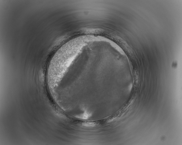 X0000116610357201001081215