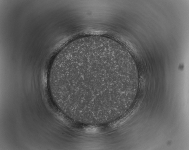 X0000116610358201001081215