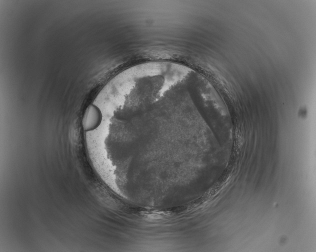 X0000116610359201001081215