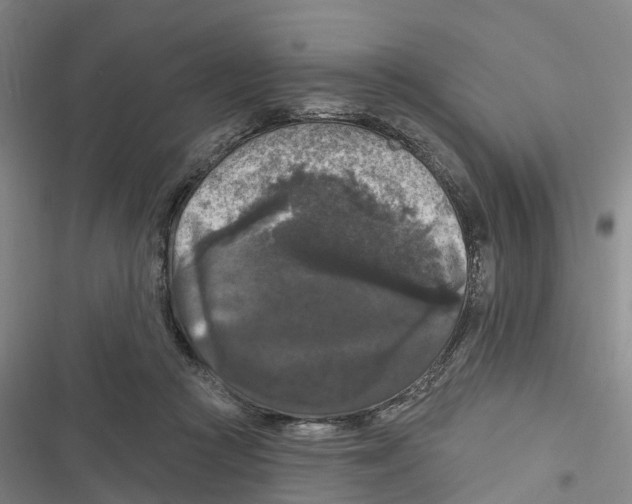 X0000116610361201001081215