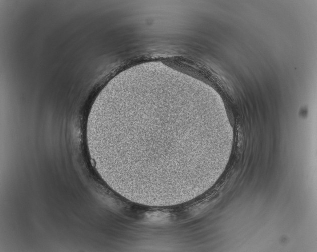 X0000116610362201001081215