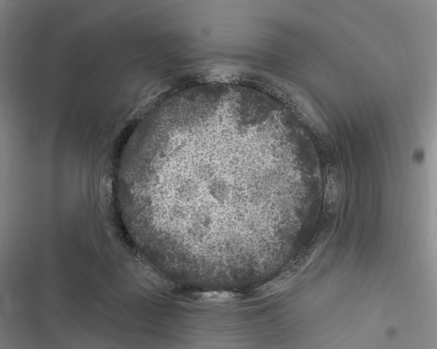 X0000116610363201001081215