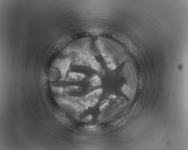 X0000116610365201001081215