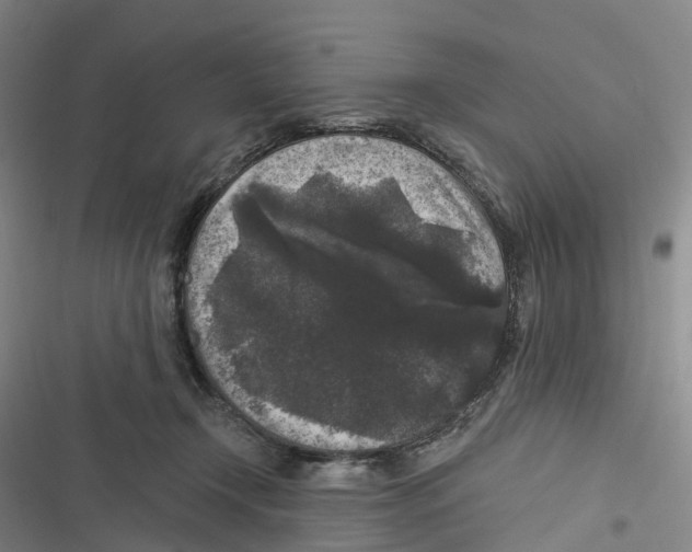 X0000116610366201001081216