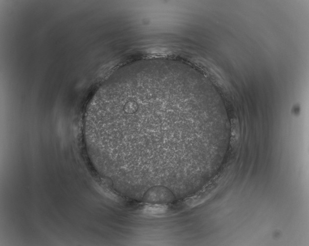 X0000116610369201001081216