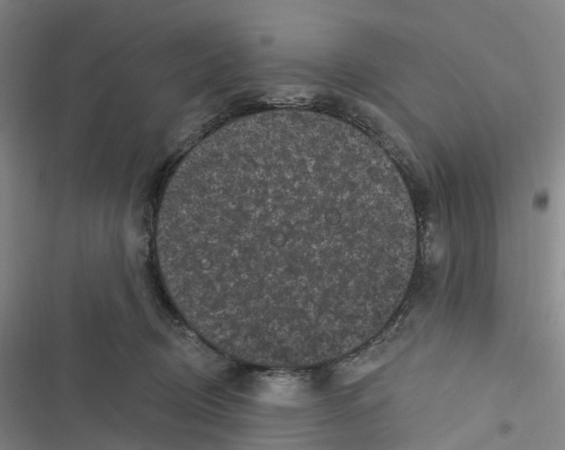 X0000116610370201001081216