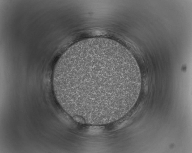 X0000116610373201001081216