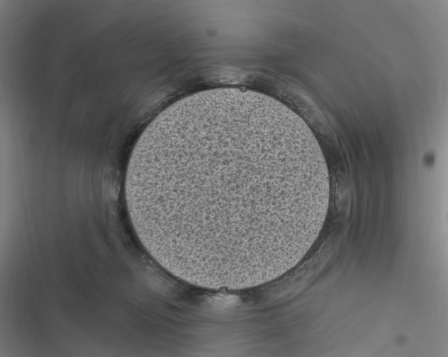 X0000116610374201001081216