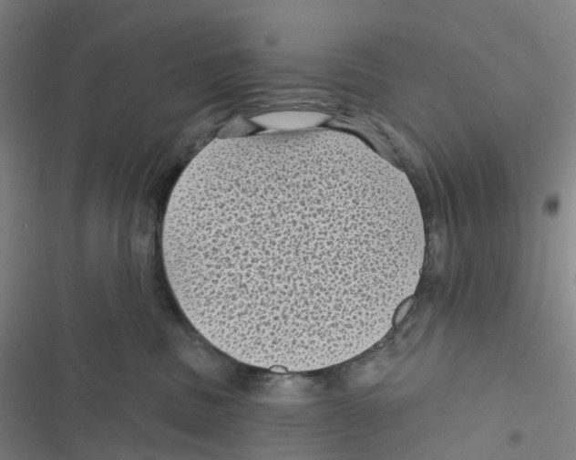 X0000116610379201001081216