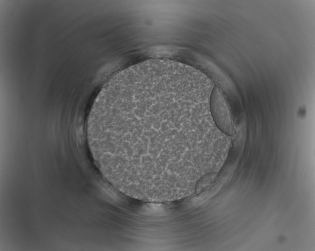 X0000116610381201001081216