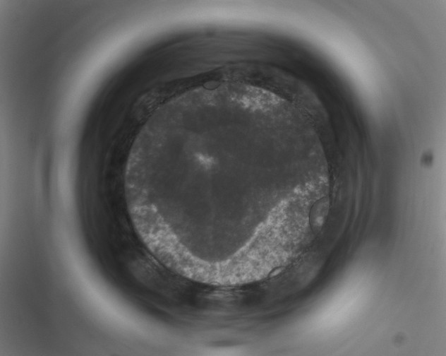 X0000116610383201001081216