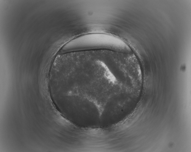 X0000116610385201001081215