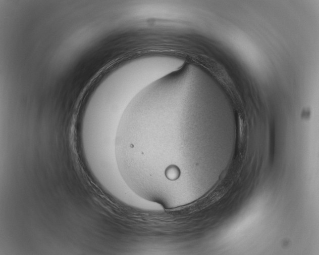 X0000116610387201001081215