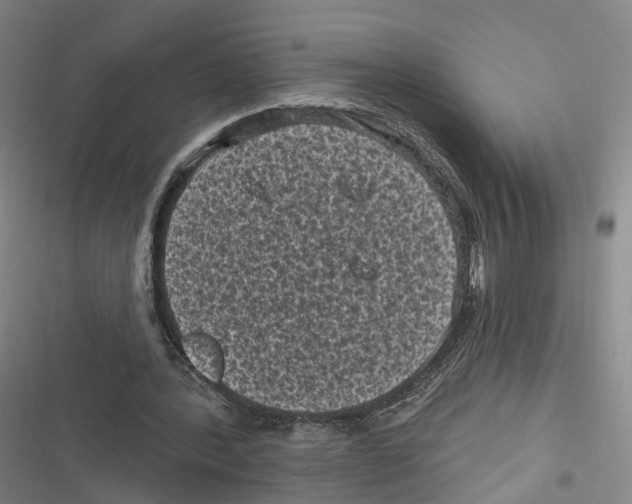 X0000116610388201001081215