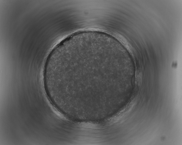 X0000116610389201001081215