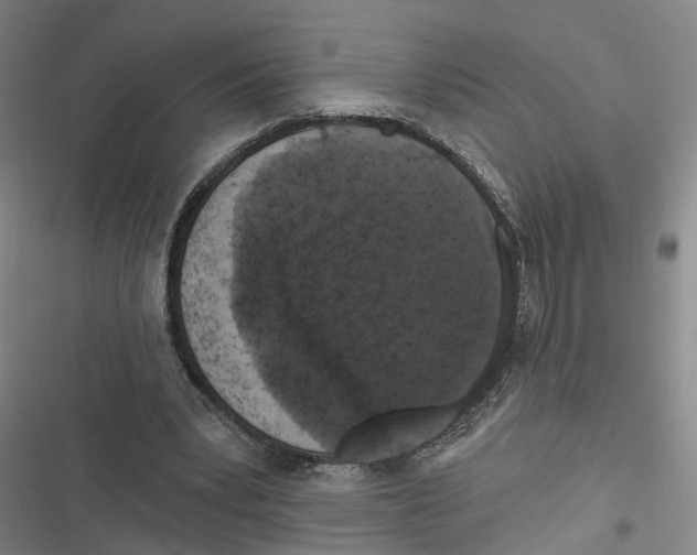 X0000116610391201001081215