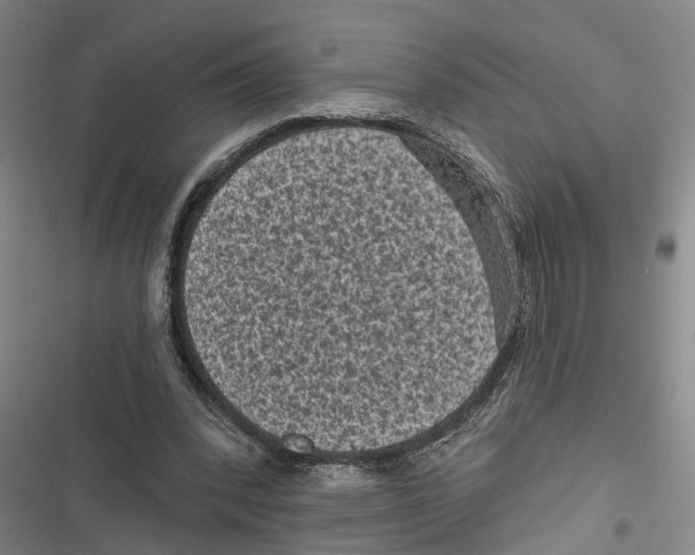 X0000116610392201001081215