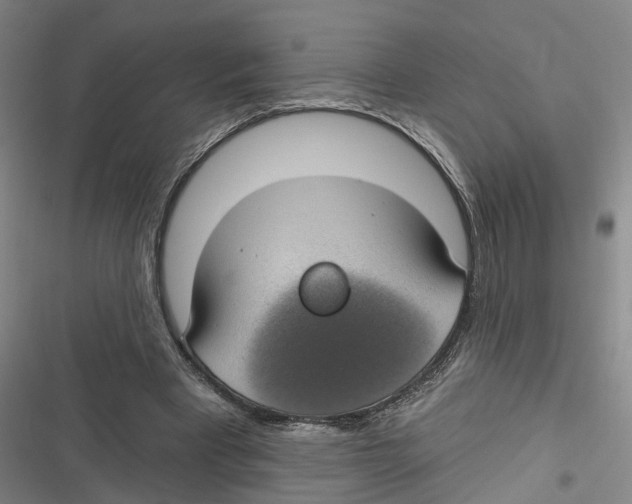 X0000116610393201001081215