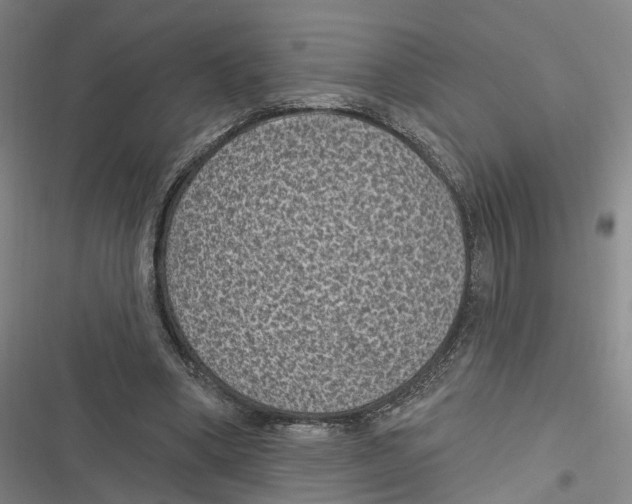 X0000116610394201001081215