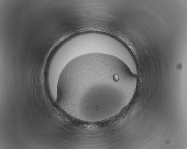 X0000116610395201001081215